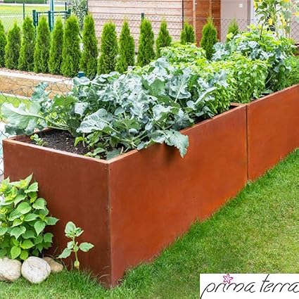 prima terra OPTIMUS - Arriate alto patinado: Amazon.es: Jardín