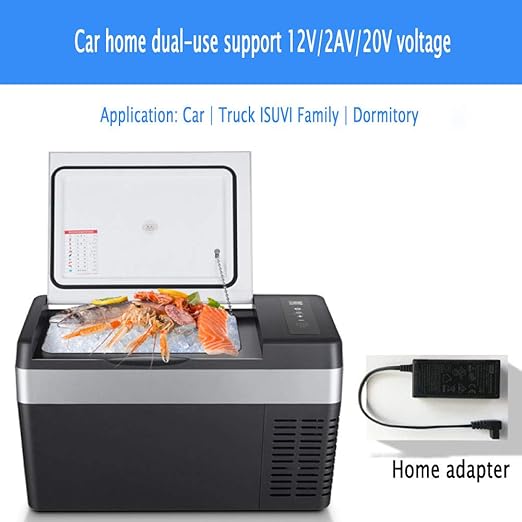 YIWANGO Ortátil Refrigerador 25L Viaje Picnic Camping Mini ...