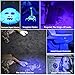 Focuspet UV Black Light Flashlight,100 LED 395 nm UV Pet Urine Stains Detector Torch Light for Dog Cat Urine, Bed Bugs, Scorpions, Machinery Leaks Inspection