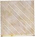 Prima Marketing 12x12 Sweet Peppermint-No Peeking