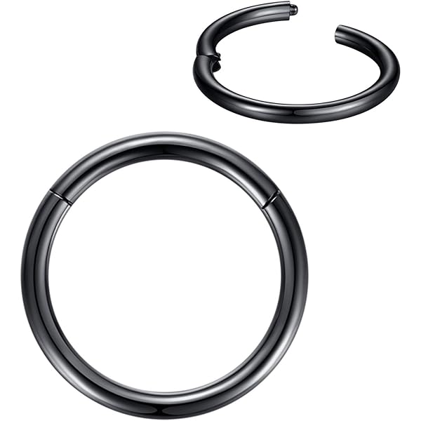 365 SLEEPERS 2 pièces titane 18G unisexe cerceau articulé segment lèvre 365 SLEEPERS 2 pièces titane 18G unisexe cerceau articulé segment lèvre