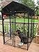 Lucky Dog Outdoor Steel Frame Kennel Enclosure w/Black Canopy, Uptown Series, 4'x4'x6'