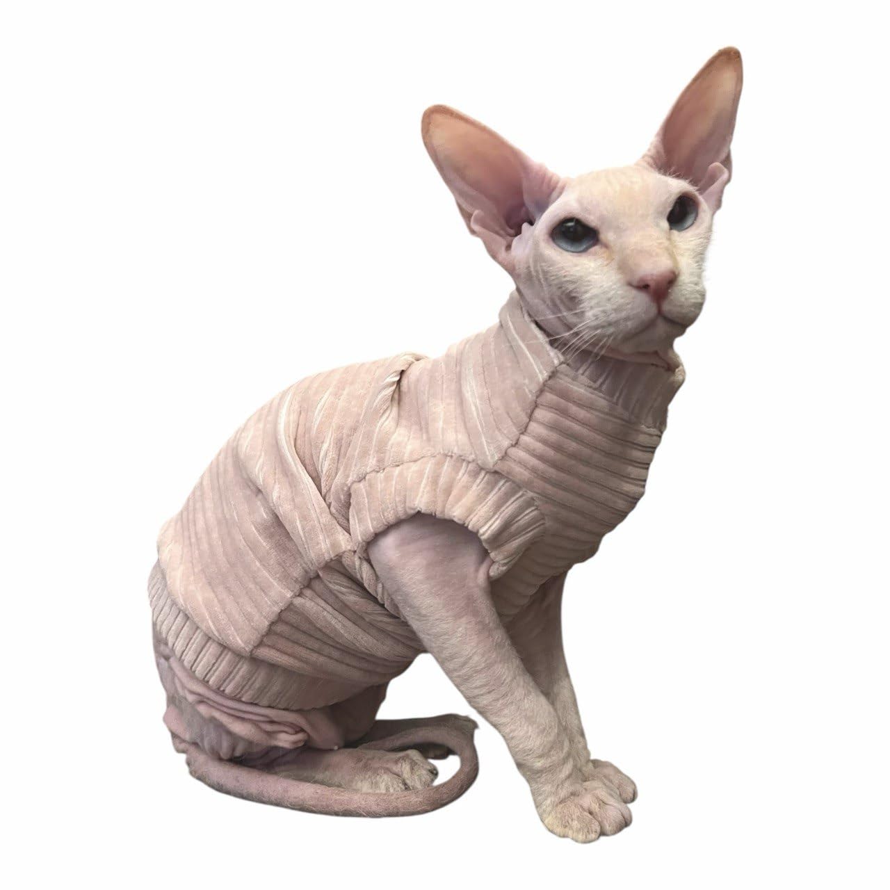 Kotomoda Cat's T-shirt Corduroy for Sphynx and naked cats (X-Small, Nude) — image 1