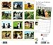 For the Love of Labrador Retrievers 2019 14 x 12 Inch Monthly Deluxe Wall Calendar with Foil Stamped Cover, Animal Dog Breeds (Multilingual Edition)