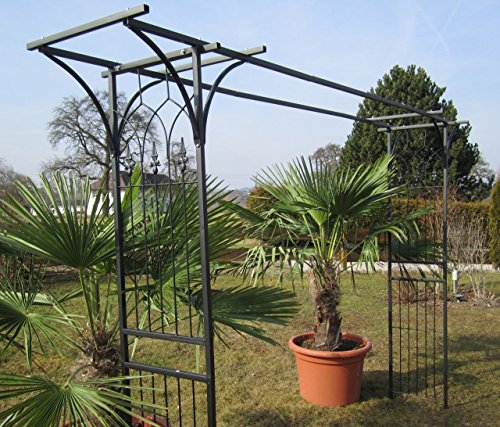 ALEOS. Eleganter XXL Rosenbogen Rankhilfe Pergola aus Metall schwarz Modell 5040 – Bild 6