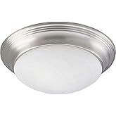 Progress Lighting 2-Light Alabaster Glass 14" Close-to-Ceiling, Indoor, P3689-09, Brushed Nickel