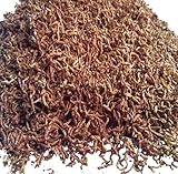 Freeze Dried Bloodworms. 100% Clean Fresh grade 
