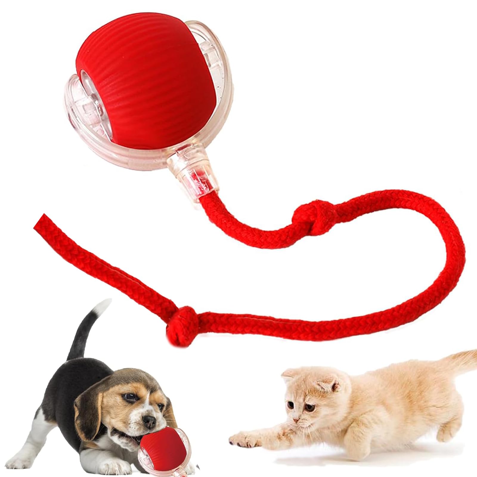 BPTZYLN Interactive Cat Toys, Active Rolling Ball with Tail for Dogs, 360° Smart Automatic Rolling With Usb Charging For Large Small Cats & Dogs Pet Ball