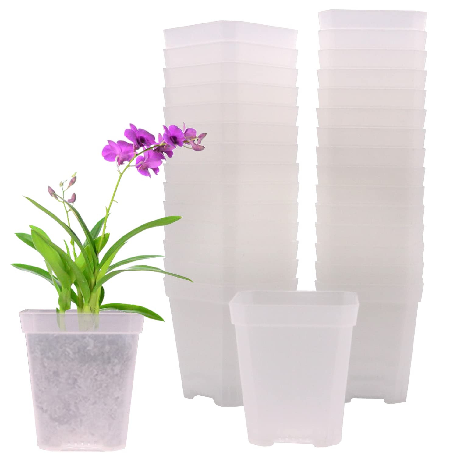 GGOUPTY Plastic Clear Square Plant Pots 7 cm 30 Pcs Transparent Succulent Planter Nursery Pots for Flower Staring Seedling