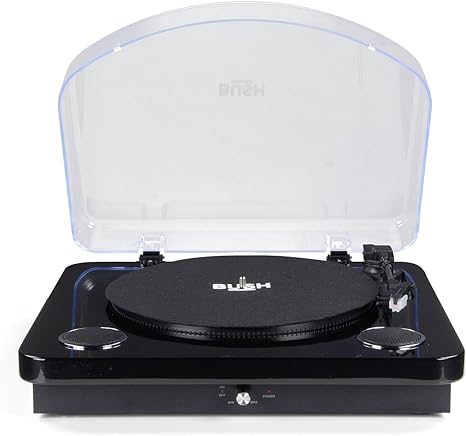 bush turntable radio system