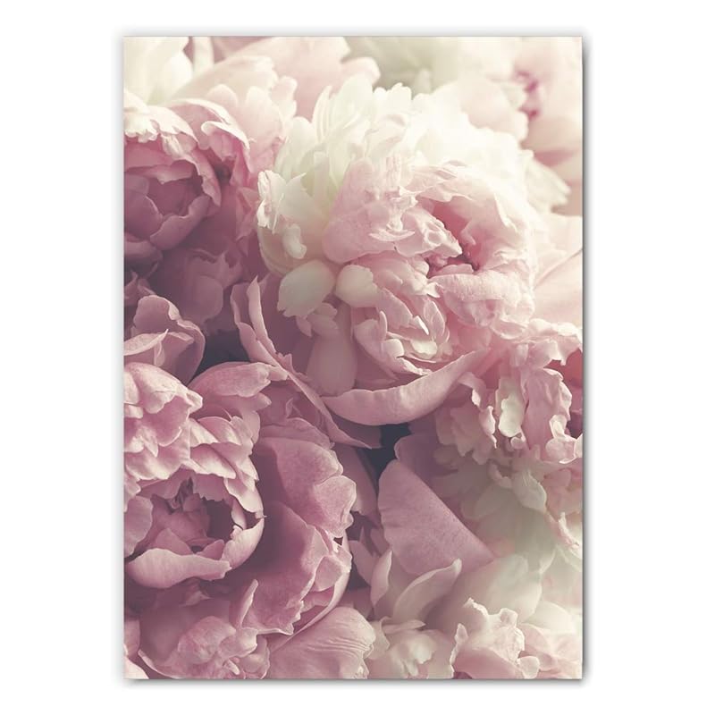 Pink Roses Photography Wall Art Print