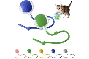 Pounce Pal Cat Toy, Interactive Cat Toy Ball with Tail, USB Rechargeable Rolling Cat Toys, 360° Motion for Indoor Cats and Ki