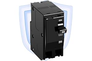 FIXOASIS QO2100CP QO 100Amp Dual Pole Circuit Breaker Compatible with QO Load Centers, CSED, and NQOD Distribution Panels