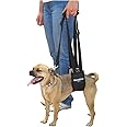 GINGERLEAD Dog Sling Support Harness, SM Female fits Small to Medium Size Pets 20-50 lbs. or Larger Barrel Chested Dogs Like Boxers or Bullies. Padded Rear Lifting Aid with Leash. Made in U.S.A.