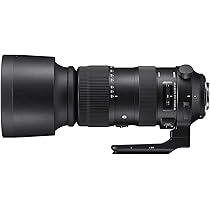 【新同品！】SIGMA 60-600mm DG OS HSM Sports 60-600mm F4.5-6.3 DG OS HSM | LENSES | Sigma