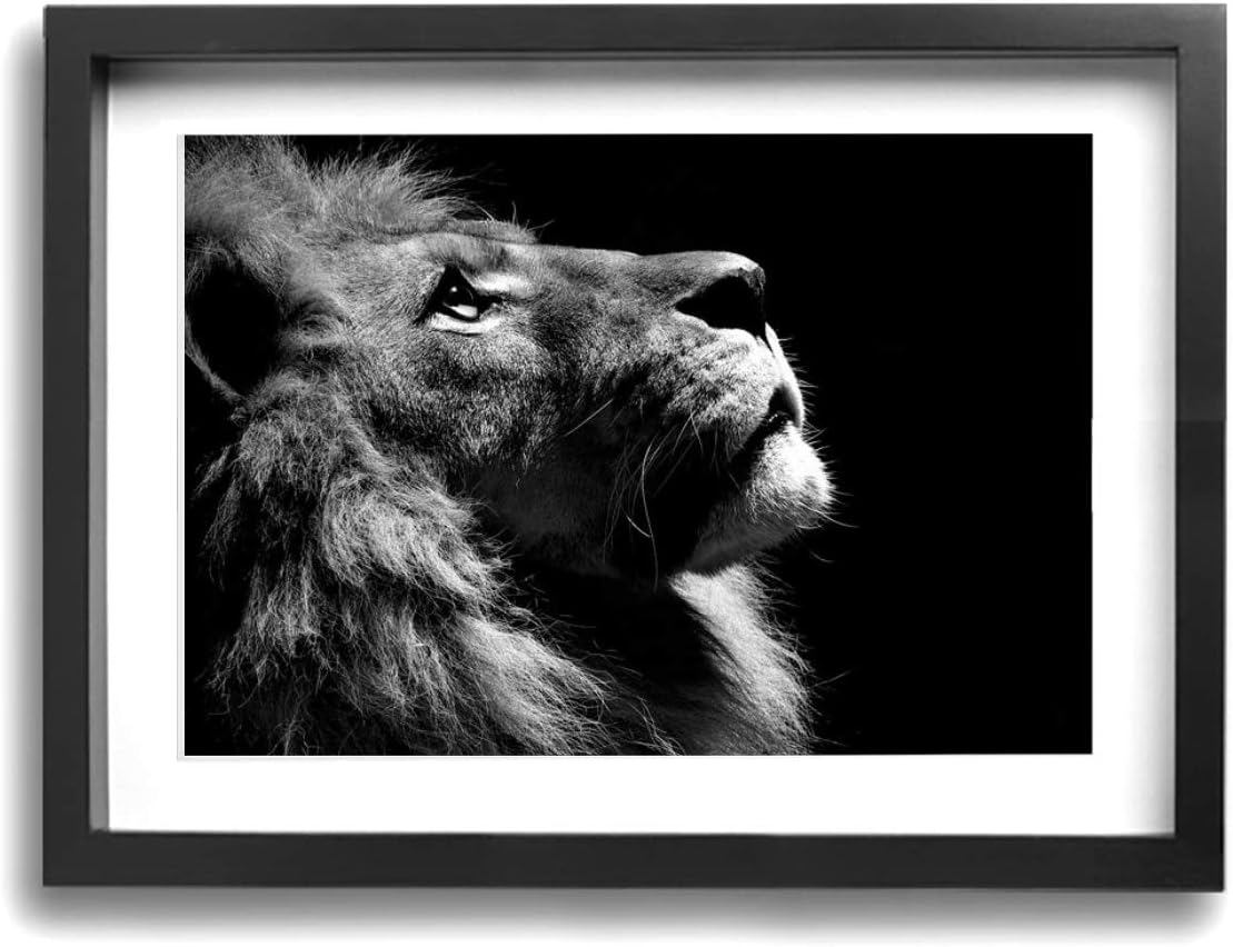 顔 白黒 ライオン イラスト