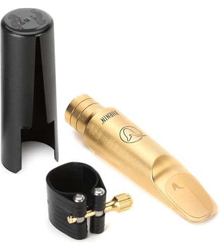 Amazon.com: Vandoren SM822GM T6 Med Chamber V16 Metal Tenor