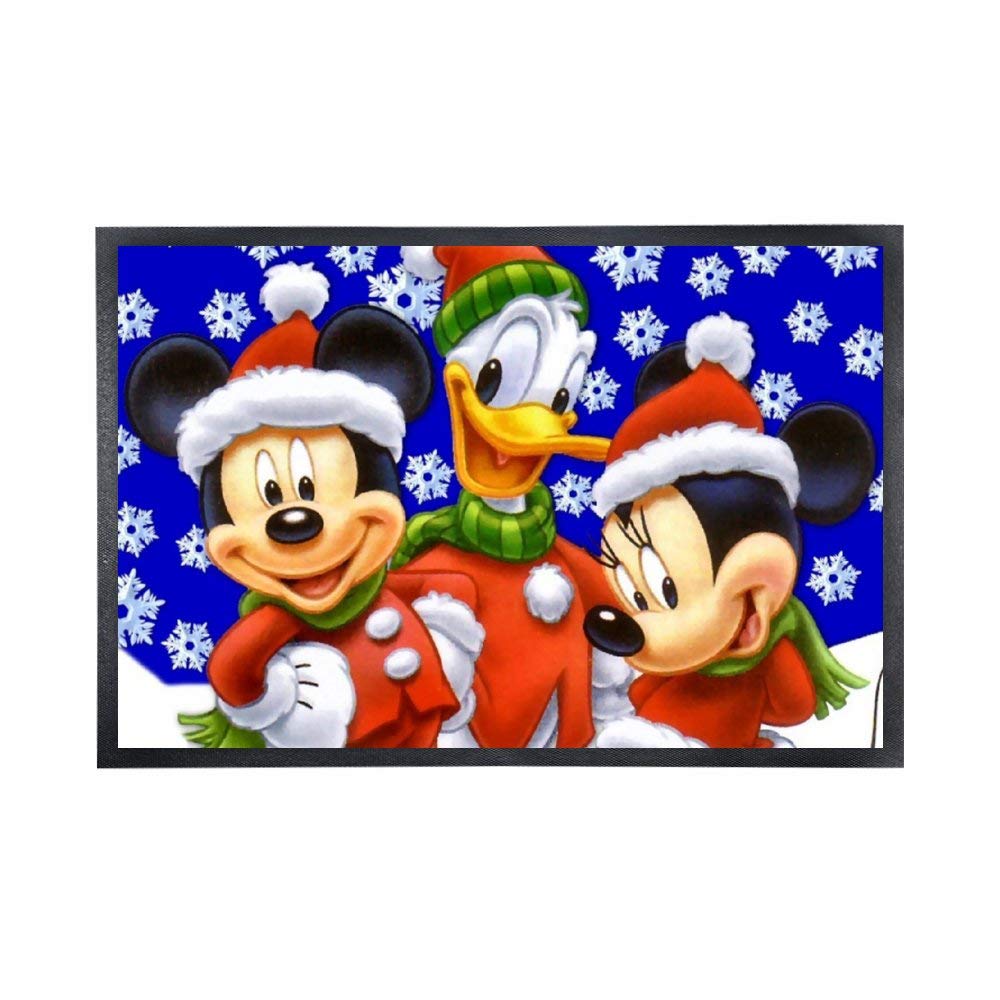 The 9 Best Door Sweeper Outdoor