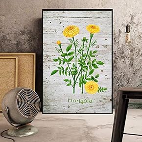 Floating Framed Canvas Wall Art for Living Room, Bedroom Plant Canvas Prints for Home Decoration Ready to Hang - 16x24 inches
