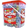 DUM DUMS Lollipops, Variety Flavor Mix, 1,000 Count Bucket