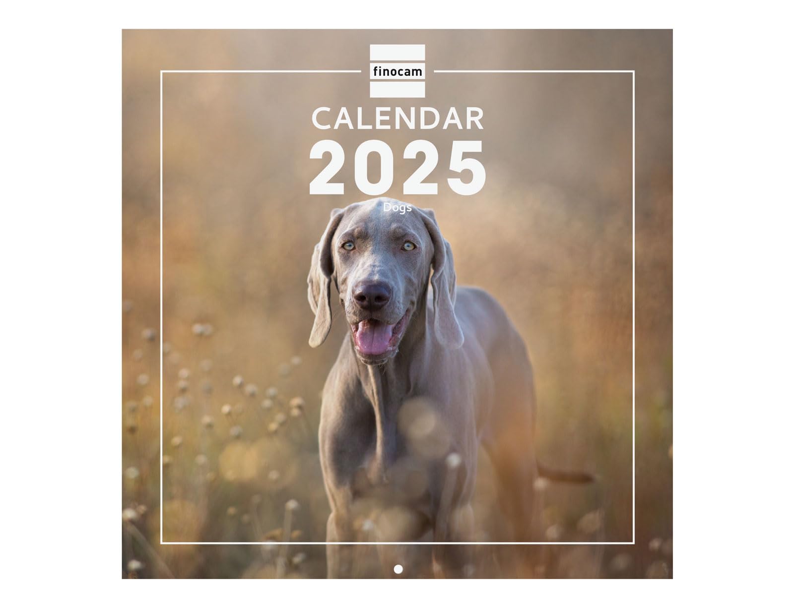 Finocam – International 2025 Wall Photo Calendar Month View January 2025 – December 2025 (12 Months) Dogs International