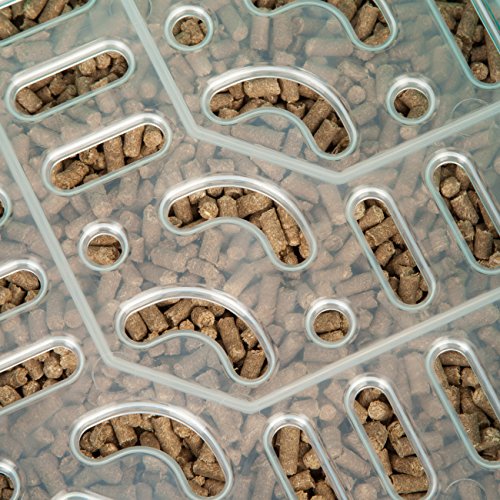 IRIS Rabbit Litter Pan with Scoop, Seafoam Green Hollandlops