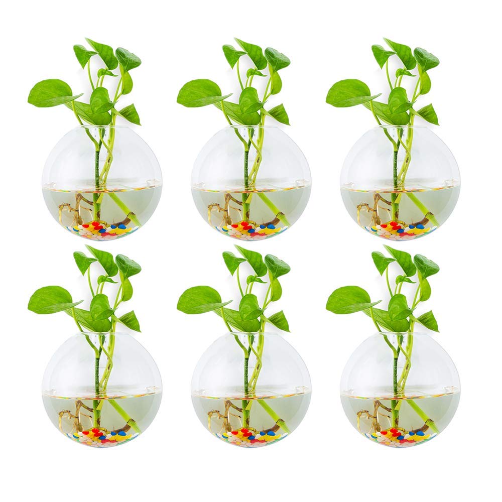 Glasseam Wall Hanging Glass Planters 6Pcs Spherical Shape Plant Pots Terrarium Container Vase with 6.36 OZ Colorful Stones Indoor Outdoor for Home Garden Office Wedding