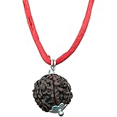 6 Mukhi Rudraksha Pendant – Certified Natural Nepali Bead (Six Faced) for Men & Women | Spiritual Pendant for Focus, Knowledge & Confidence | Original Rudraksha for Daily Wear, Puja & Meditation