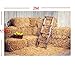 7x5ft Country Rustic Old Fall Barn Photo Backdrop Portrait Cloth Computer Printed Party barnyad Baby Shower Birthday Photography Studio Background F-2741
