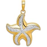 JewelryWeb 10k With Rhodium Sparkle-Cut Sea shell Nautical Starfish Two-color and H P Charm Pendant Necklace for Women