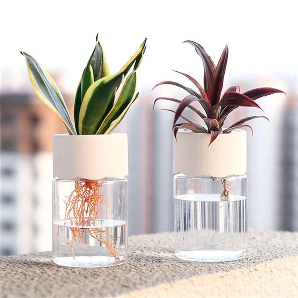 Omana 2 Pcs Mini Flower Pots Hydroponic Transparent Plastic Nursery Pot Vases Indoor/Outdoor Succulent House Plants Propagation Tabletop Home Decor Decoration
