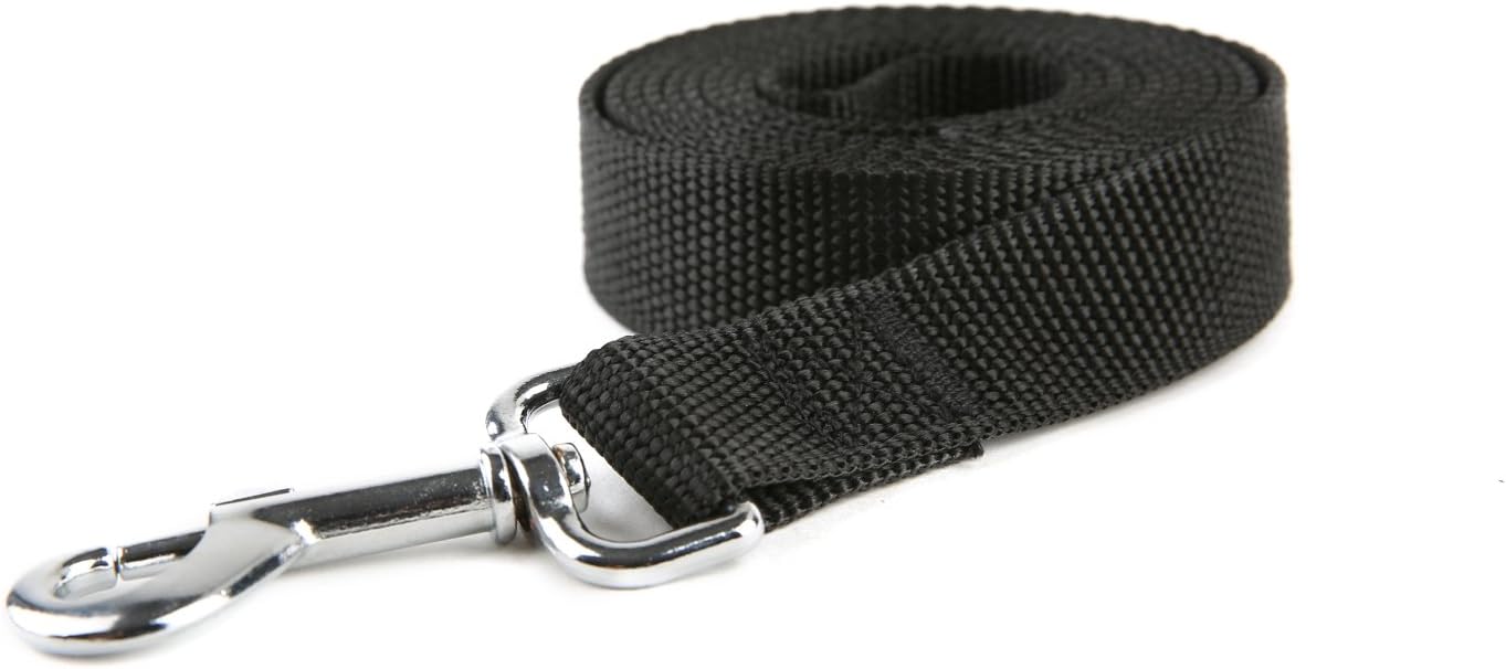 Taida Strong Durable Nylon Dog Training Leash, Traction Rope, 6 Feet Long, 1 Inch Wide, for Small and Medium Dog : Pet Supplies