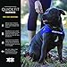 EzyDog Quick Fit Dog Harness – No Pull Harness for Training, Everyday Walking, and Easy Control - Adjustable Fit, Reflective, and Padded (Medium, Red)