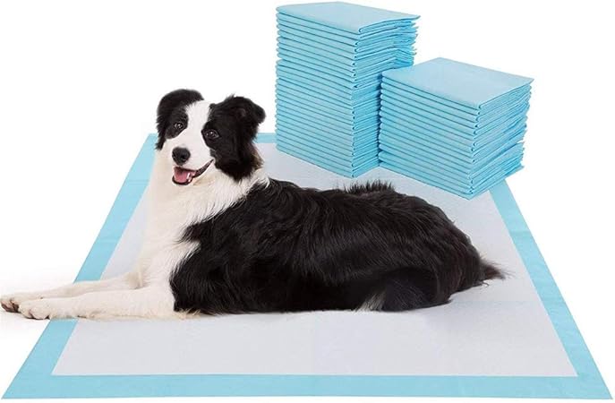 dog nappy pads