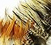 100+ Pcs Mixed Saddle & Coque Plumage Feathers 5-10 by FeatherStore.com
