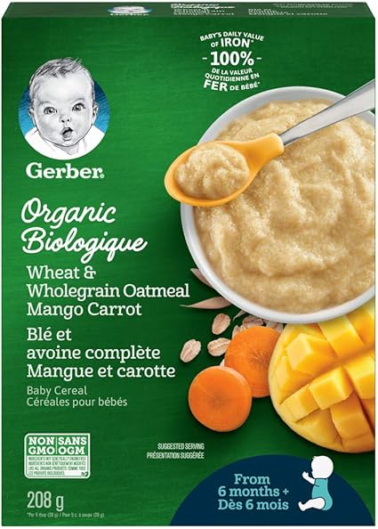 mango for baby 6 months