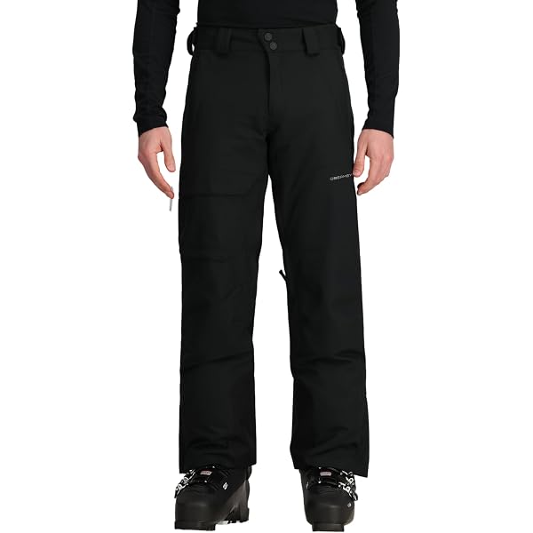 Amazon.com: Spyder Active Sports Men's Mesa Gore-TEX Ski Pant