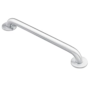 Moen 8718 Home 18-Inch Bathroom Grab Bar, Stainless