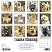 Just Cairn Terriers 2018 Calendar