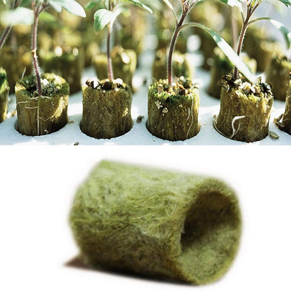 50pcs/100pcs Stonewool Plug Agricultural Hydroponic Propagation Growth Media Starter Cloning, Stonewool Seed Plant Growth Blocks Hydroponic Cubes