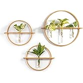 Bohemian Roots Plant Propagation Stations - Set of 3 Bamboo Wall Planters for Indoor Plants with 5 Glass Plant Propagation Tubes | Propagation Vases for Plants | Aesthetic Plant Wall Decor