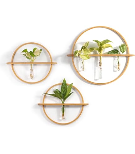 Lot De 4 Pots De Fleurs Muraux En Verre - Pour Plantes Aériennes (Tillandsia), Hydroponiques - Décoration Murale Transparente - 12 X 9,4 Cm