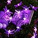 Flacchi Solar Lights,Waterproof Decorative Fairy Lights for Indoor/Outdoor, Patio, Lawn, Garden, Fence, Balcony, Pergola, Bush, Party, Holiday Decorations
