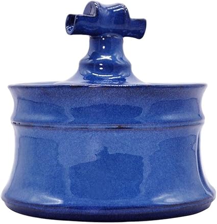 Chiots Créoles En Famille Daccueil Session 7