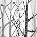 iDesign Forest Shower Curtain, Stall 54 x 78, Gray/Black