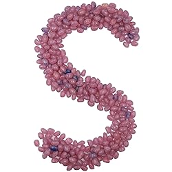 Smarty Stop Jelly Beans Every Flavor Candies