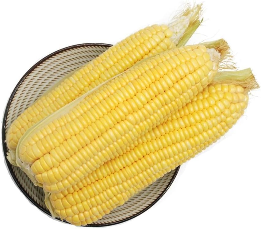 Sweetcorn Seeds Vegetable Seeds Sweet Corn Seeds Organic Vegetable
