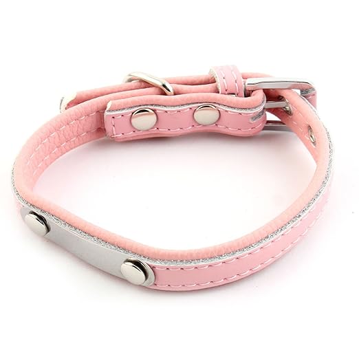 diy leather dog collar from belt