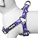 Blueberry Pet 5 Colors Soft & Comfy Step-in Paisley Flower Print Dog Harness, Chest Girth 19.5