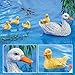 Duck Family Pool Floater Figurine Set